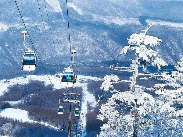 Shiobara Onsen Yama No Yado Shimofujiya Hotel Nasushiobara Ngoại thất bức ảnh