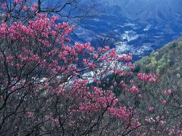 Shiobara Onsen Yama No Yado Shimofujiya Hotel Nasushiobara Ngoại thất bức ảnh